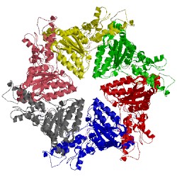 Image of CATH 5vc7