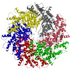 Image of CATH 5vca