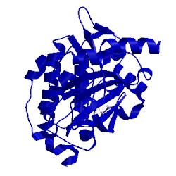 Image of CATH 5vef