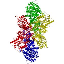 Image of CATH 5vhw
