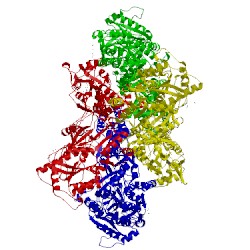 Image of CATH 5vhx