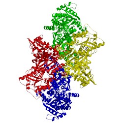 Image of CATH 5vhz