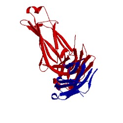 Image of CATH 5vic