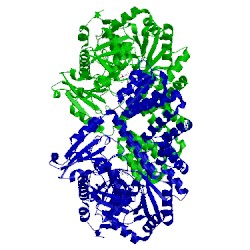 Image of CATH 5vie