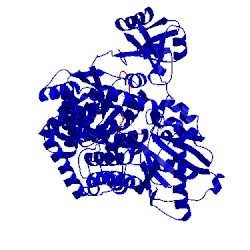 Image of CATH 5vif