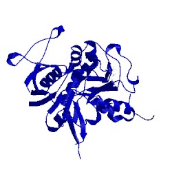 Image of CATH 5vij
