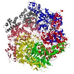 Image of CATH 5vjh