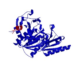 Image of CATH 5vlh