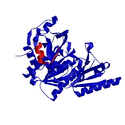 Image of CATH 5vlk