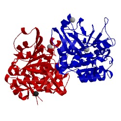 Image of CATH 5vm2