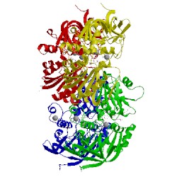 Image of CATH 5vn1