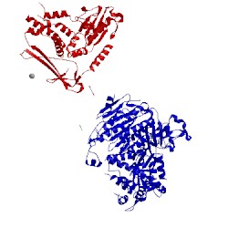 Image of CATH 5vnf