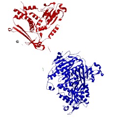 Image of CATH 5vnj