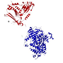 Image of CATH 5vnm