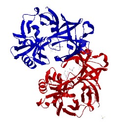Image of CATH 5vpm