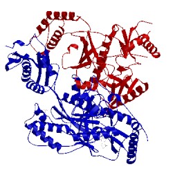 Image of CATH 5vqu