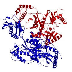 Image of CATH 5vqv
