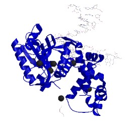 Image of CATH 5vrw