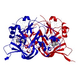 Image of CATH 5vsc