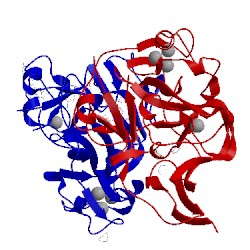 Image of CATH 5vsd