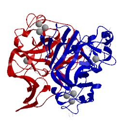 Image of CATH 5vsf