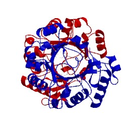 Image of CATH 5vsl