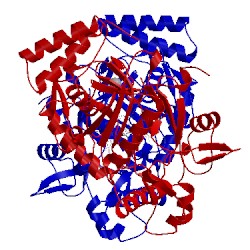 Image of CATH 5vuj