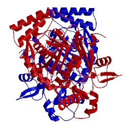 Image of CATH 5vup