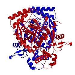 Image of CATH 5vut