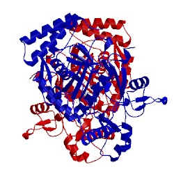 Image of CATH 5vv4