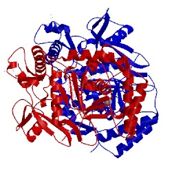 Image of CATH 5vv8