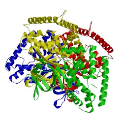 Image of CATH 5vvj