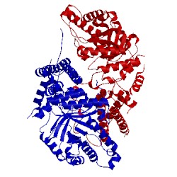 Image of CATH 5vvo