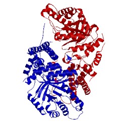 Image of CATH 5vvu