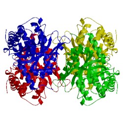 Image of CATH 5vy5