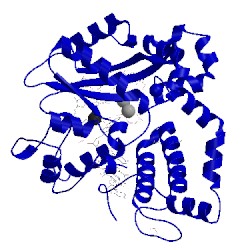 Image of CATH 5vz7