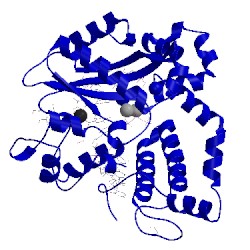 Image of CATH 5vzc