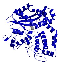 Image of CATH 5vzd