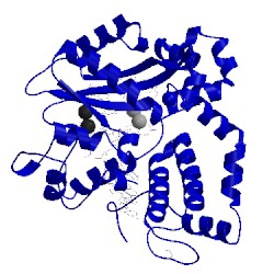 Image of CATH 5vzg