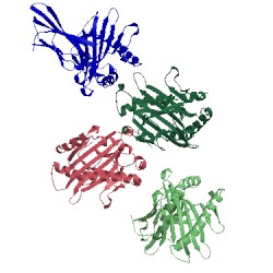 Image of CATH 5w1w