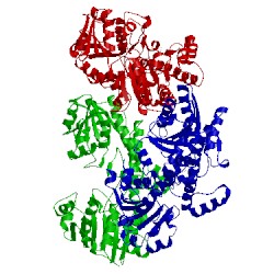 Image of CATH 5w4x