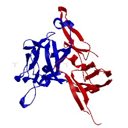 Image of CATH 5w59
