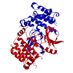 Image of CATH 5w5j