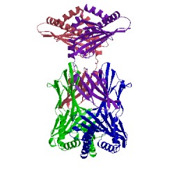 Image of CATH 5w69