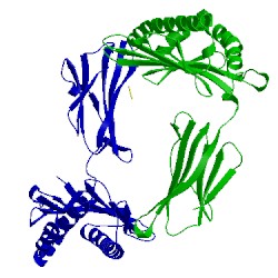 Image of CATH 5w6a