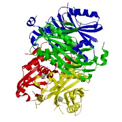 Image of CATH 5w8v