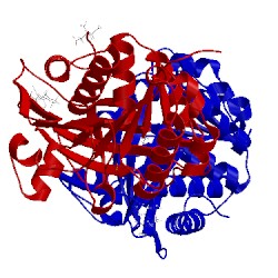 Image of CATH 5wbo