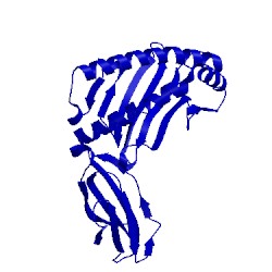 Image of CATH 5wes