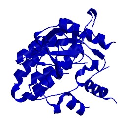 Image of CATH 5wfj