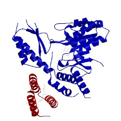 Image of CATH 5wgb